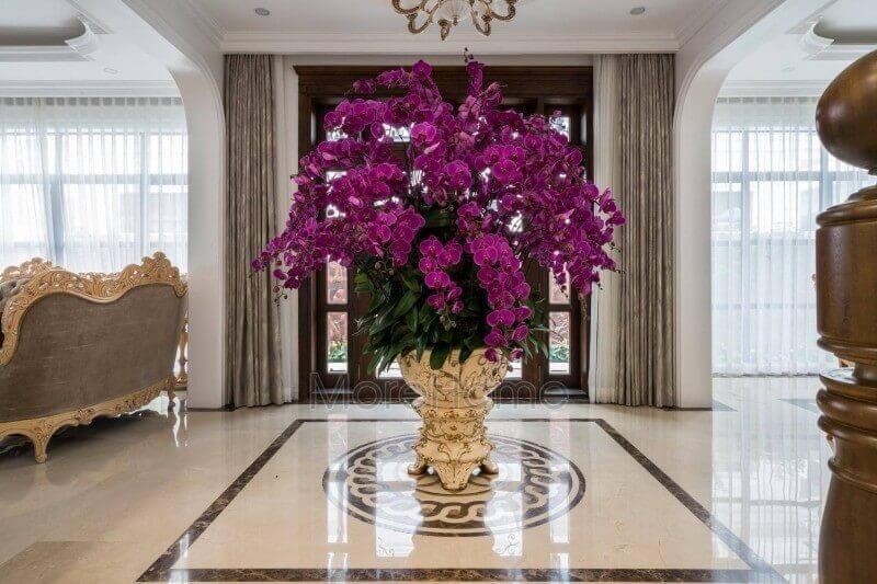 Thiết kế thi công cửa gỗ