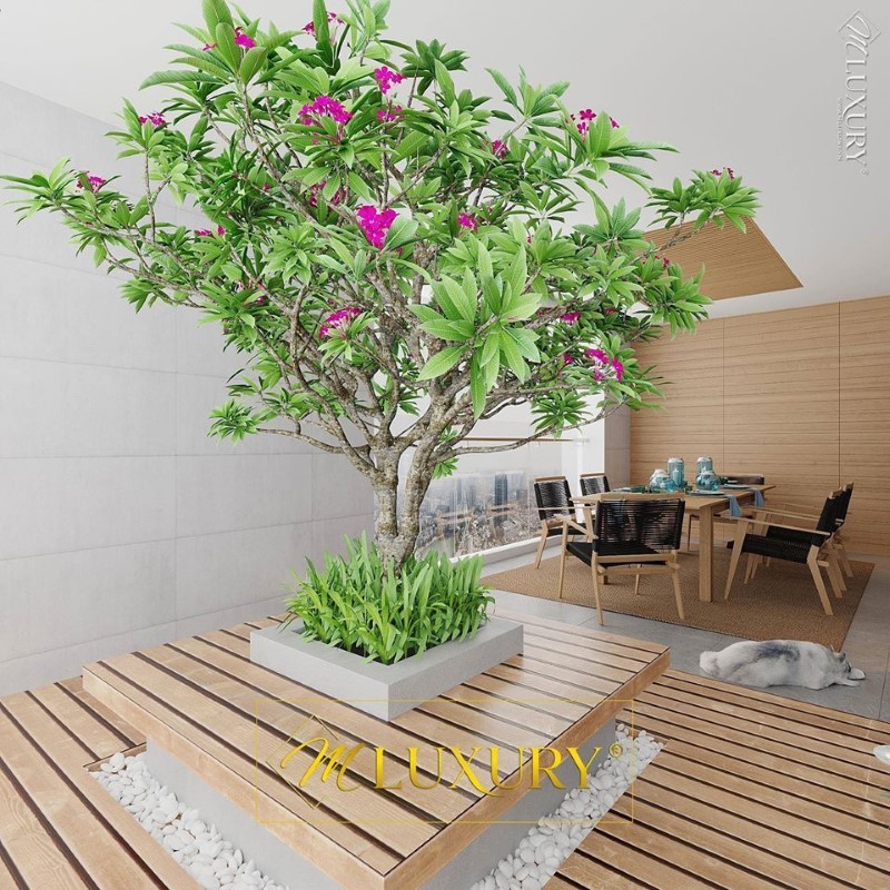 Thiết kế sân vườn chung cư