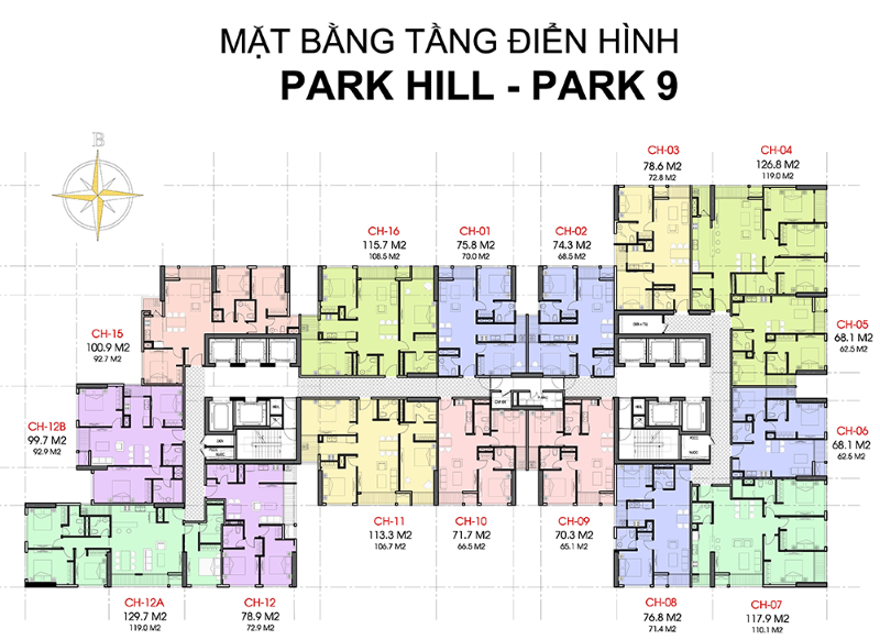 Mặt bằng Park Hill - Times City Park Hill Premium