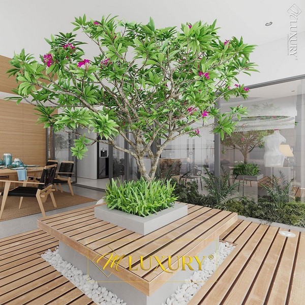 Thiết kế nội thất xanh