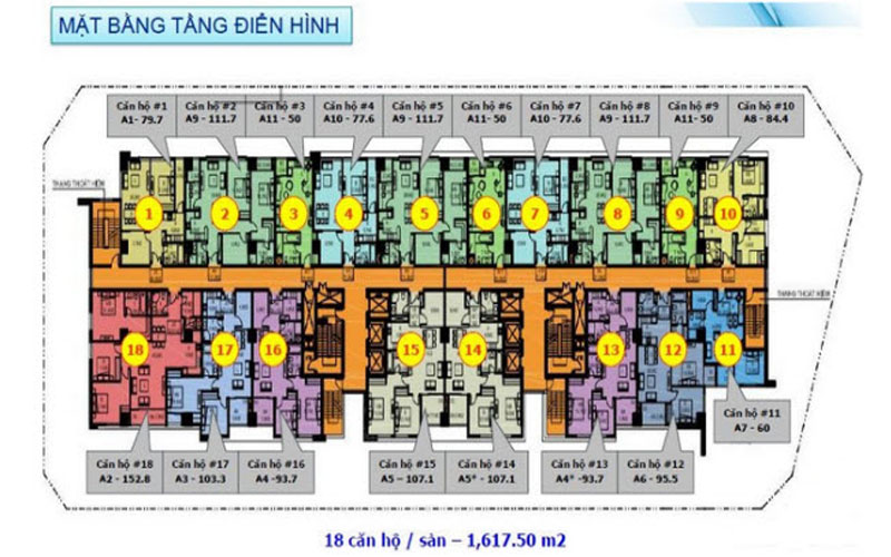 Mặt bằng dự án Star City Mặt bằng dự án Star City