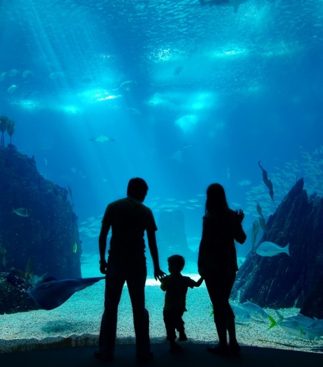 Tiện ích chung cư